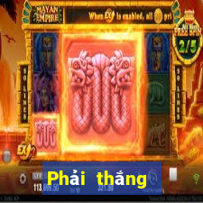 Phải thắng giải trí bull bull