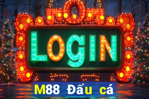 M88 Đấu cá cào vé số