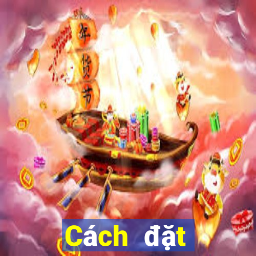 Cách đặt cược XSCT ngày 31