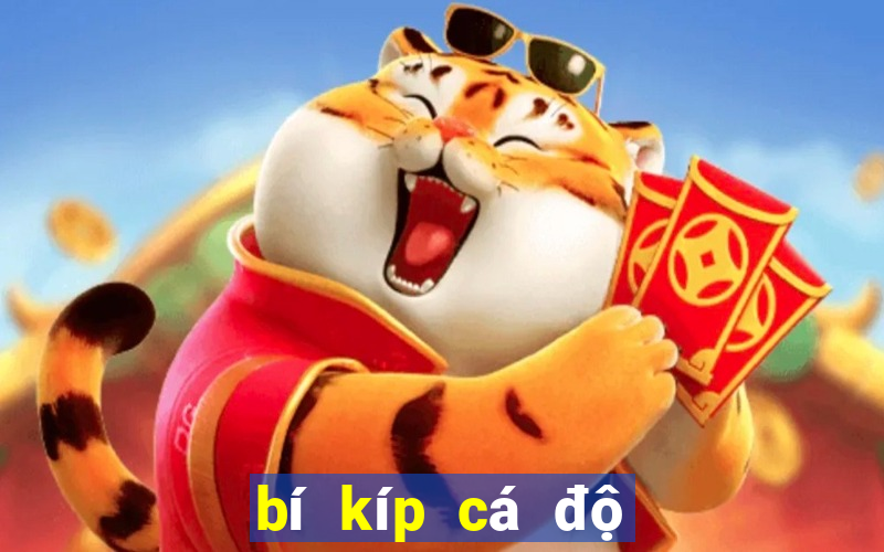 bí kíp cá độ bóng đá