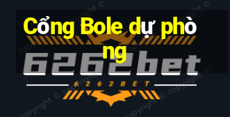 Cổng Bole dự phòng