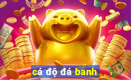 cá độ đá banh