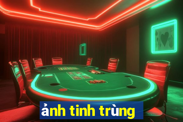 ảnh tinh trùng