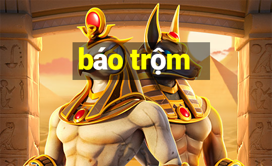 báo trộm