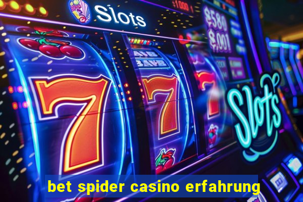 bet spider casino erfahrung