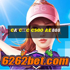 cá cược csgo ae888