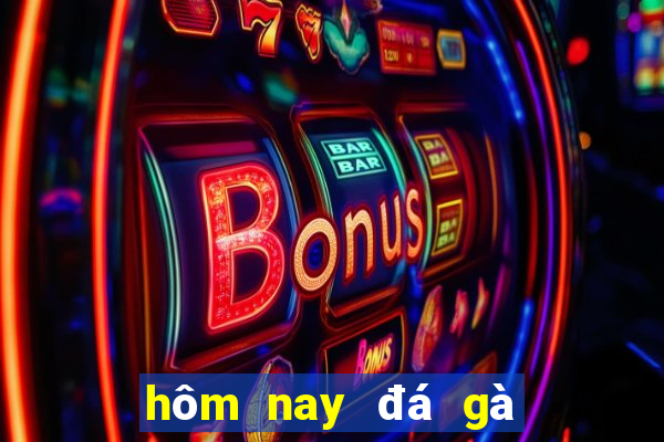 hôm nay đá gà màu gì tốt nhất