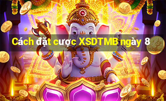 Cách đặt cược XSDTMB ngày 8