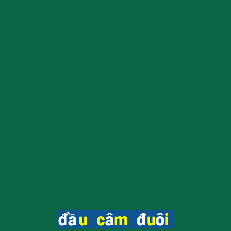 đầu câm đuôi câm là gì