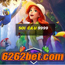 soi cau 9999