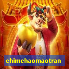 chimchaomaotrang