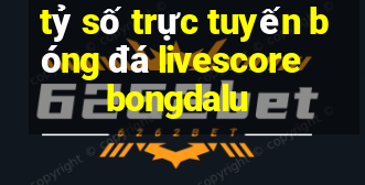 tỷ số trực tuyến bóng đá livescore bongdalu