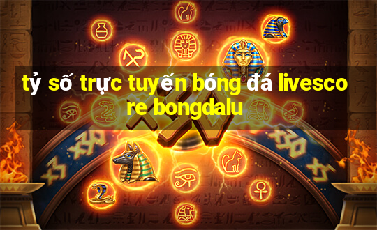 tỷ số trực tuyến bóng đá livescore bongdalu