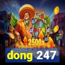 dong 247