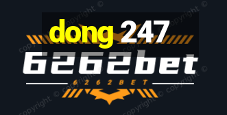 dong 247