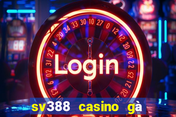 sv388 casino gà đòn trực tiếp