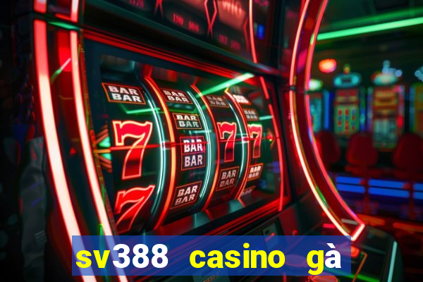 sv388 casino gà đòn trực tiếp