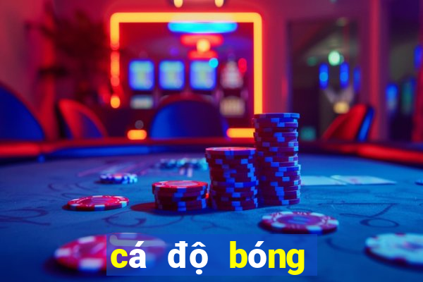 cá độ bóng đá dkbl