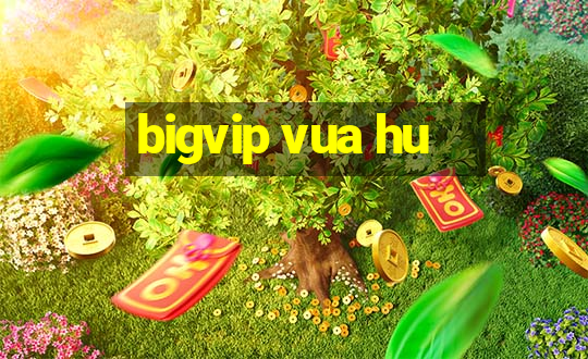 bigvip vua hu