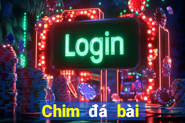 Chim đá bài địa chủ aap