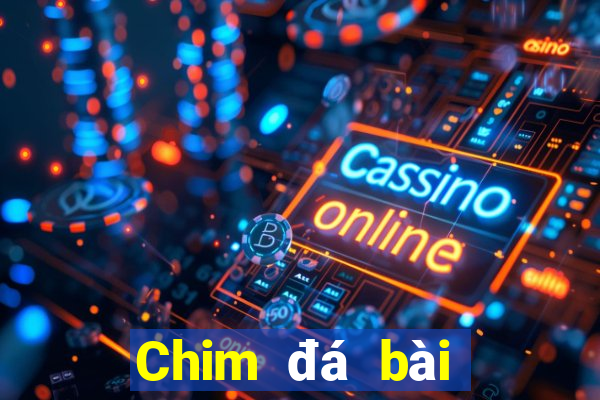 Chim đá bài địa chủ aap