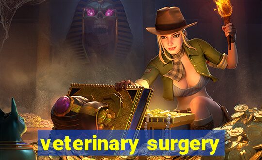 veterinary surgery