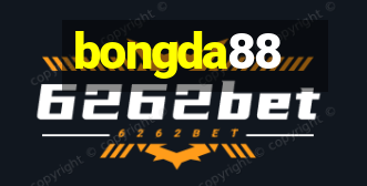 bongda88