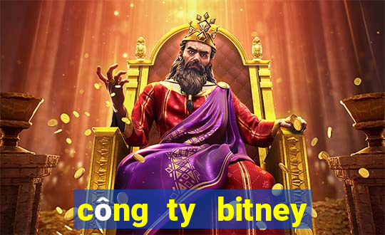 công ty bitney fans club