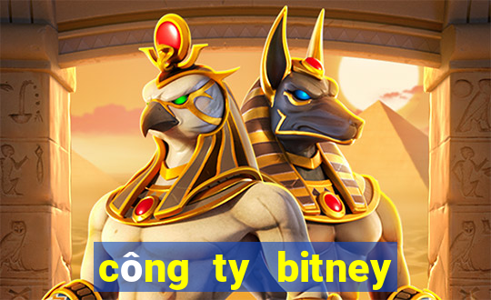 công ty bitney fans club