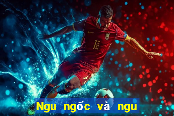 Ngu ngốc và ngu ngốc giải trí