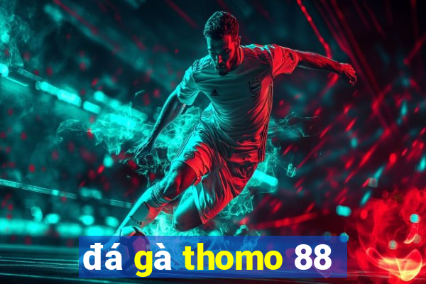 đá gà thomo 88