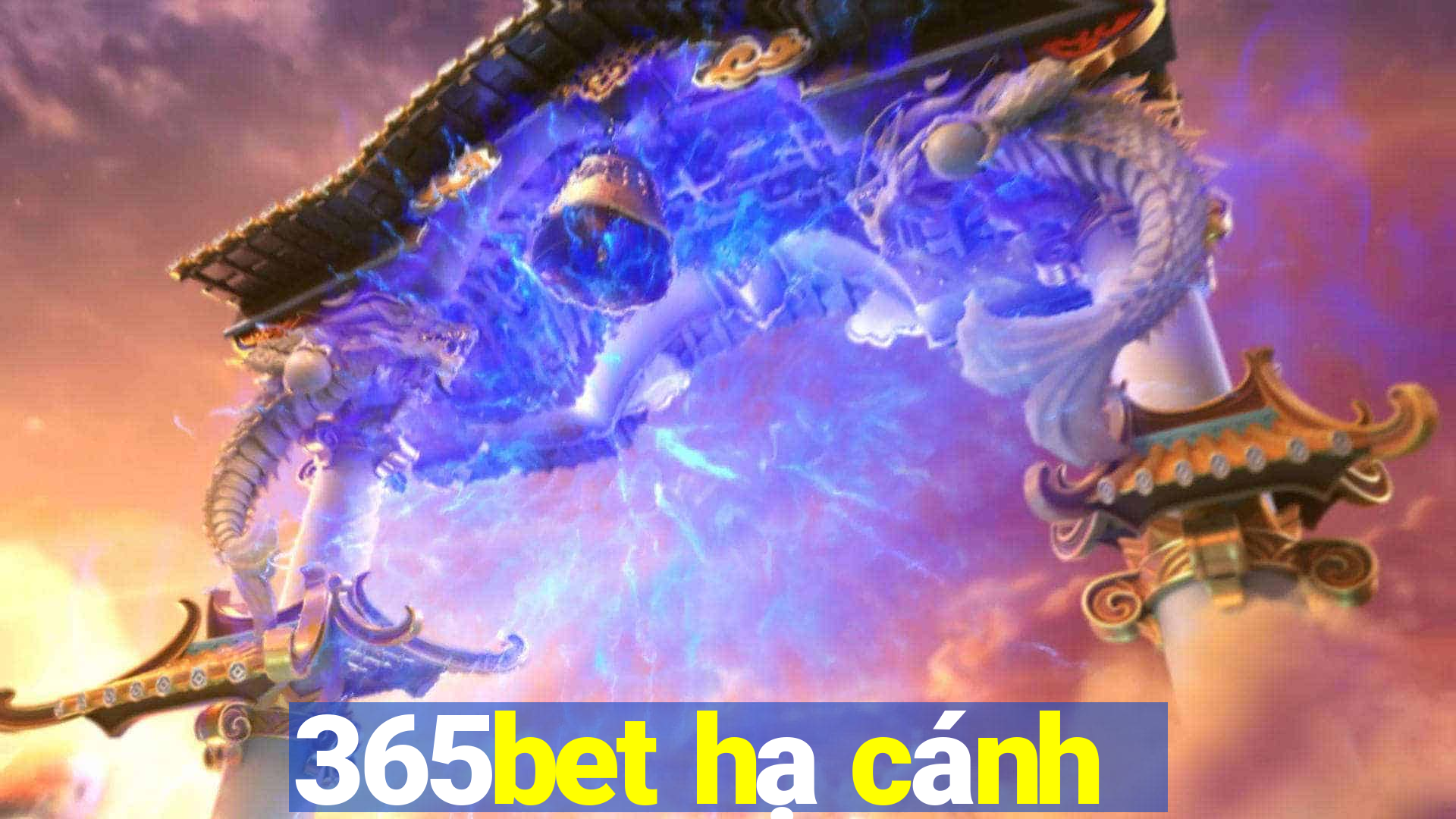 365bet hạ cánh