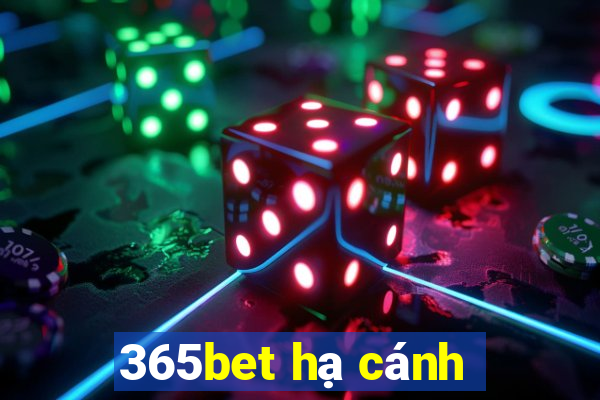 365bet hạ cánh