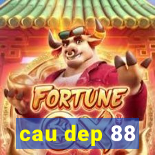 cau dep 88