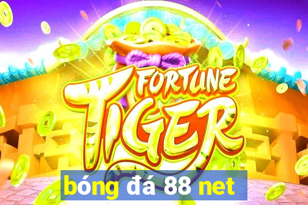 bóng đá 88 net