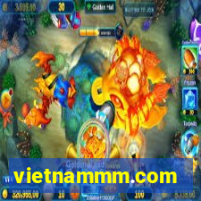 vietnammm.com