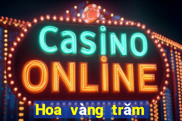 Hoa vàng trăm người chiên v1.3