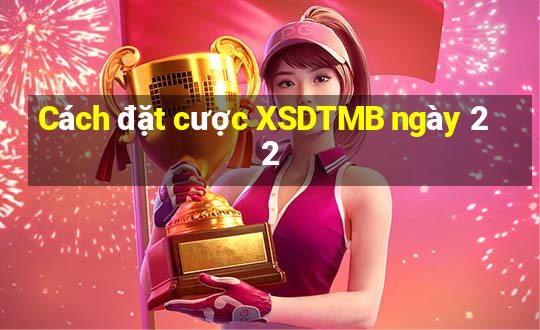 Cách đặt cược XSDTMB ngày 22