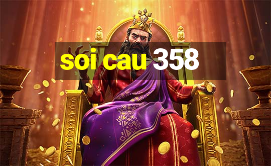 soi cau 358