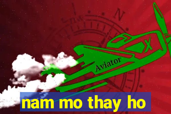 nam mo thay ho