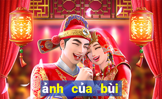 ảnh của bùi tiến dũng