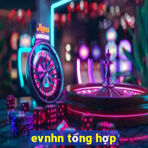 evnhn tổng hợp