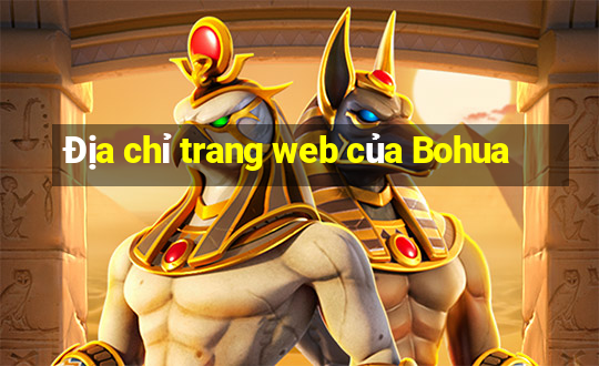 Địa chỉ trang web của Bohua