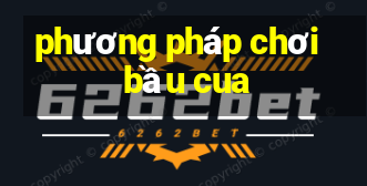 phương pháp chơi bầu cua