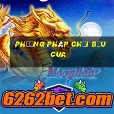 phương pháp chơi bầu cua