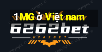 1 MG ở Việt nam