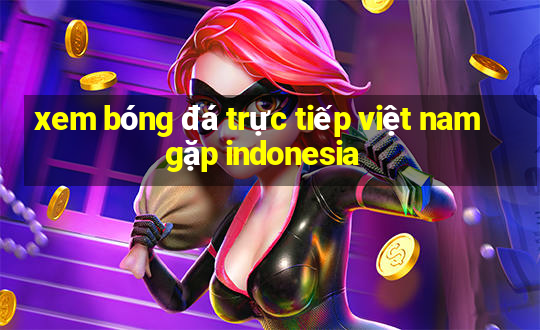 xem bóng đá trực tiếp việt nam gặp indonesia