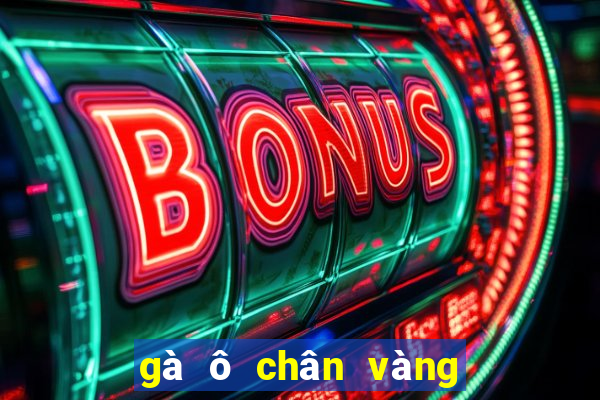 gà ô chân vàng điểm mực