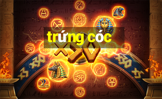 trứng cóc