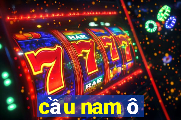 cầu nam ô